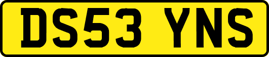 DS53YNS