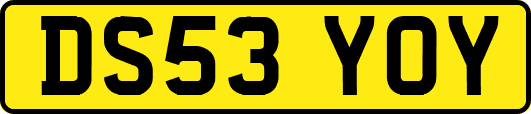 DS53YOY
