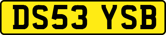 DS53YSB