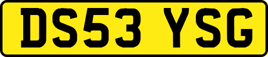 DS53YSG