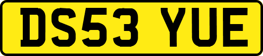 DS53YUE