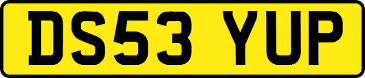 DS53YUP