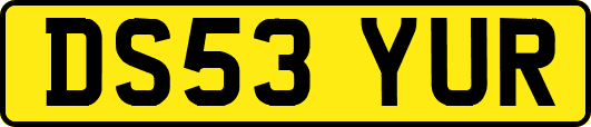 DS53YUR