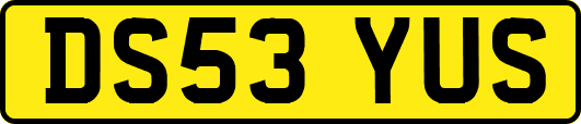 DS53YUS