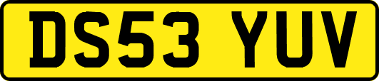 DS53YUV