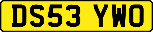 DS53YWO