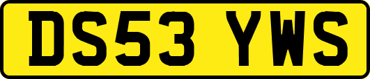DS53YWS