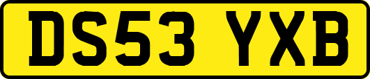 DS53YXB