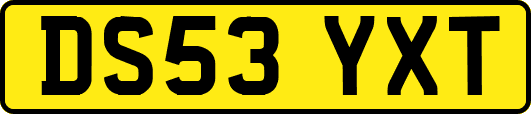 DS53YXT