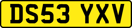 DS53YXV