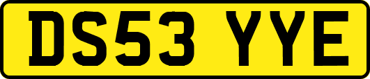 DS53YYE