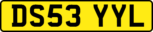 DS53YYL