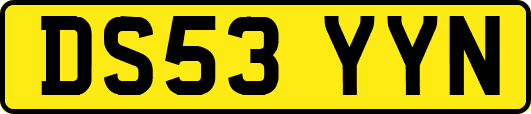 DS53YYN