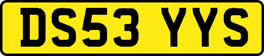 DS53YYS