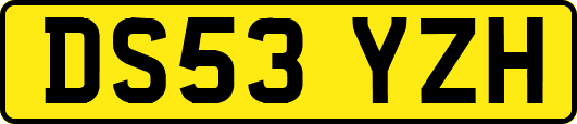 DS53YZH