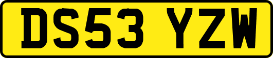 DS53YZW