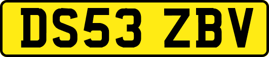 DS53ZBV