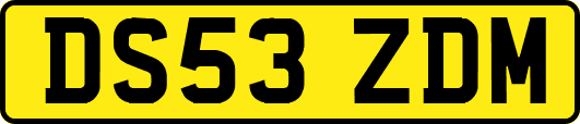 DS53ZDM