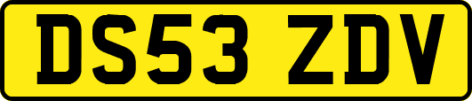 DS53ZDV