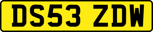 DS53ZDW
