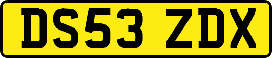 DS53ZDX