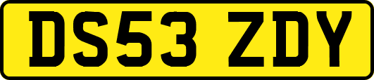 DS53ZDY