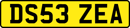 DS53ZEA