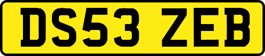 DS53ZEB