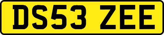 DS53ZEE