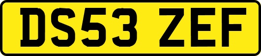 DS53ZEF