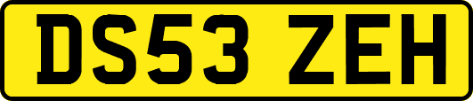 DS53ZEH