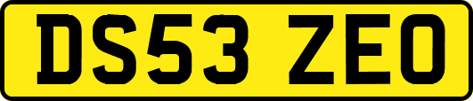 DS53ZEO
