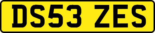 DS53ZES