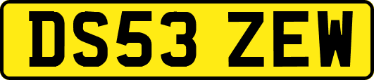 DS53ZEW