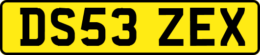 DS53ZEX