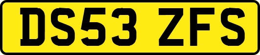 DS53ZFS