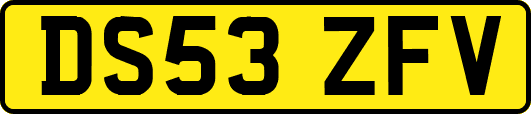 DS53ZFV