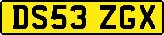 DS53ZGX