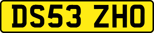 DS53ZHO