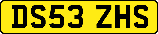 DS53ZHS