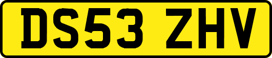 DS53ZHV