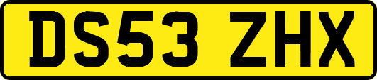 DS53ZHX