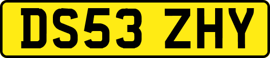 DS53ZHY
