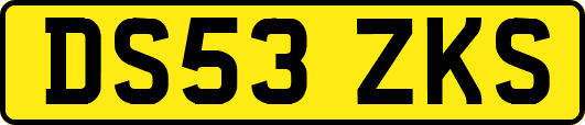 DS53ZKS