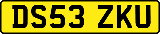 DS53ZKU