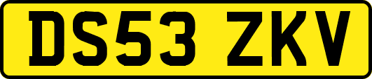 DS53ZKV