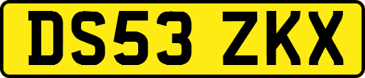 DS53ZKX