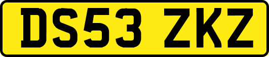 DS53ZKZ
