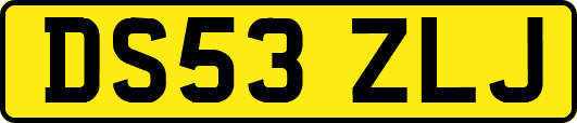 DS53ZLJ