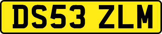 DS53ZLM